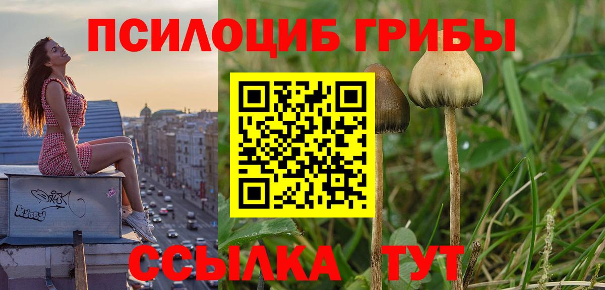 Верхняя Пышма  Псилоцибиновые грибы мухоморы  Вход с VPN  Псилоцибиновые грибы MAGIC MUSHROOMS 